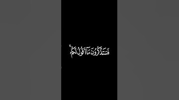 { فستذكرون ما أقول لكم وأفوض أمري إلى الله إن الله بصير بالعباد}آية 44 سورة غافر /القارئ خالد الجليل