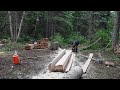 A new life in the wilderness  cabin river outdoors trailer