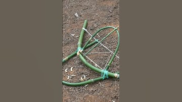 make unique wild chicken trap
