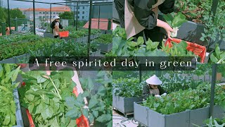 Harvesting hidden treasures | A free spirited day in green