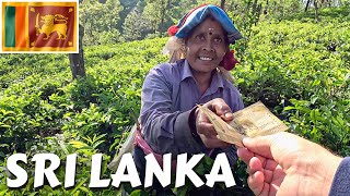 Real Souls Deep Inside Tea Plantations In Sri Lanka 🇱🇰