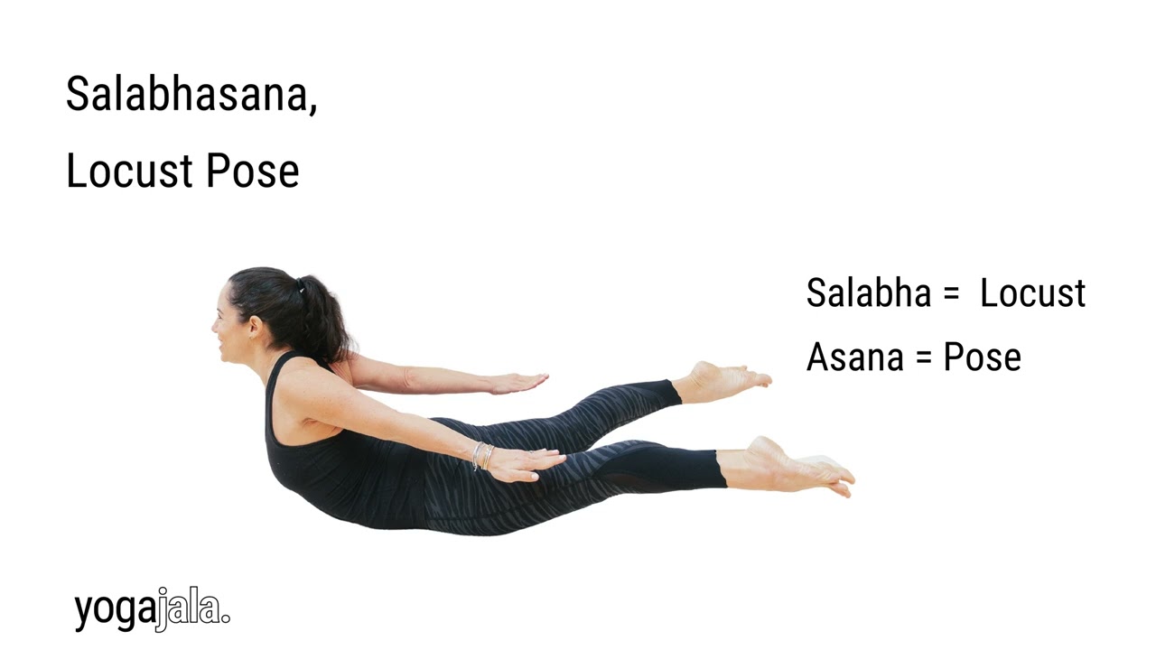 Locust Pose: Step-By-Step Instructions for Salabhasana - 2024 - MasterClass