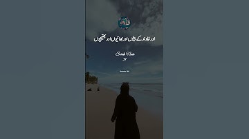 سوره نور آیه 31 #قرآن_ترجمه #قرآن ویدئو #قرآن #الله #قرآن #سوره نور