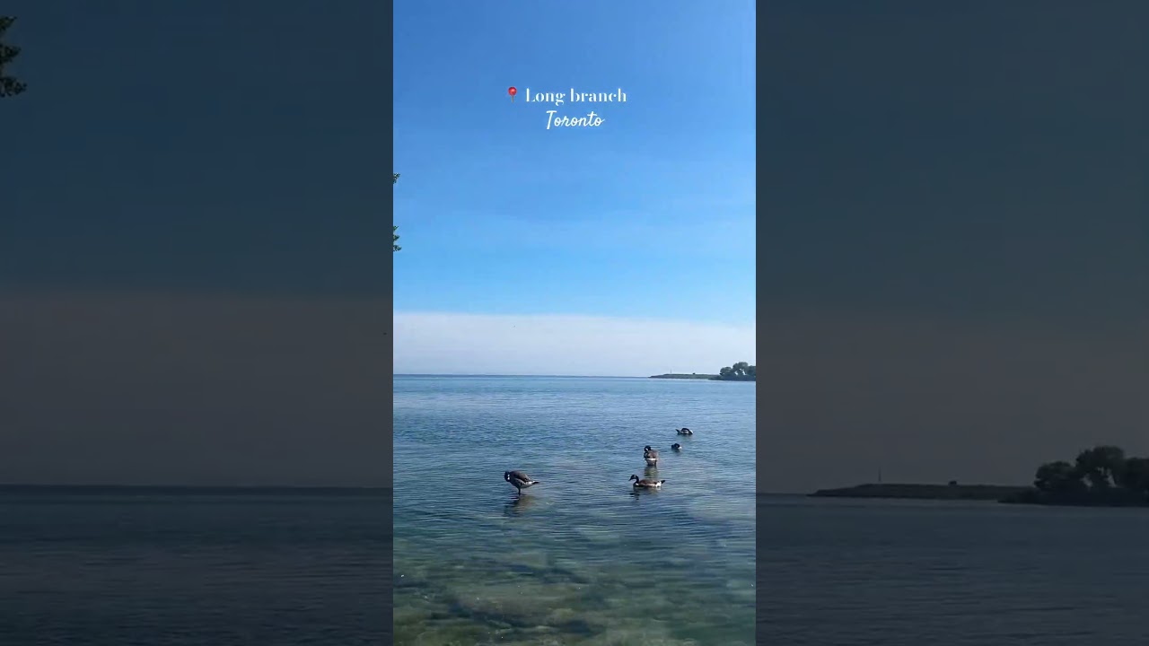 Place to visit in Toronto. 