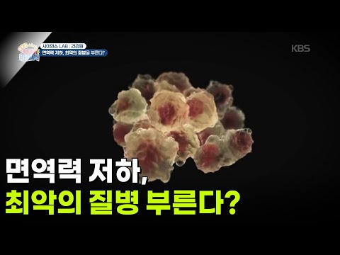 [사이언스 LAB : 건강원] 면역력 저하, 최악의 질병 부른다? [생방송 굿모닝 대한민국] | KBS 260918 방송