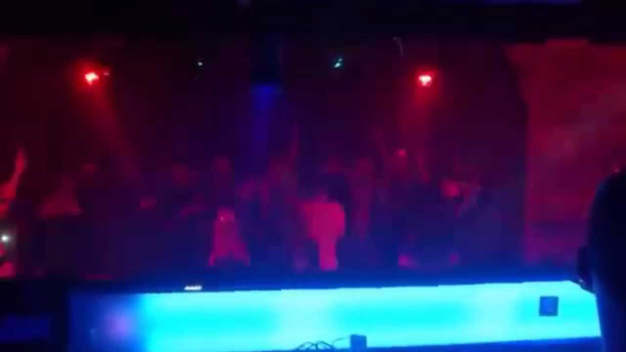 Rosapark im Nachtwerk Karlsruhe