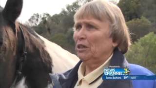 EQUINE EVACUATION TEAM