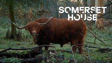 Soil: The World at Our Feet