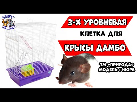 Видео: Как да намерим липсваща клетка