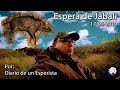 Espera de Jabalí 17-05-2019. Buen lance