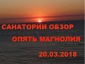 Анапа 20.03.2018 Обзор санаториев. Магнолия цветет