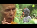 Bộ phim về cuộc đời Thiền sư Thích Nhất Hạnh ; "PHIÊU BỒNG "