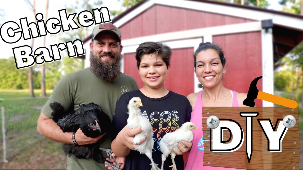 The Ultimate Chicken Coop Design and Build YouTube