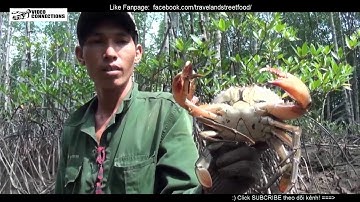 cách bắt cua bằng que sắt trong rừng ngập mặn ở miền Tây