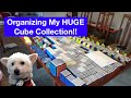 Organizing 380+ Rubik's Cubes!! (Cube Collection Setup)