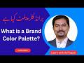 What's the Brand Color Palette? Color Psychology & Meaning for Your Brand Color Scheme