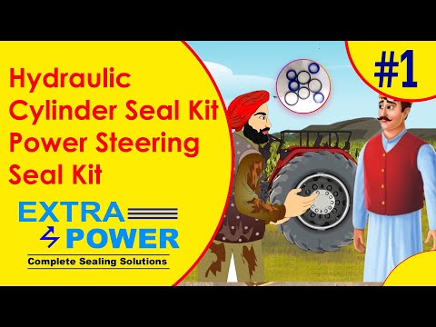 Hydraulic Cylinder Seal Kit, Power Steering Seal Kit, Extra Power