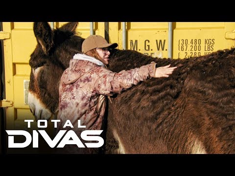 Ronda Rousey loves Travis Browne: Total Divas Preview Clip, Oct. 1, 2019