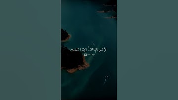 تلاوات خالدة | كل نفس ذائقة الموت بصوت القارئ عبدالرحمن مسعد