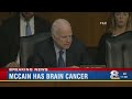 Senator John McCain diagnosed with brain cancer