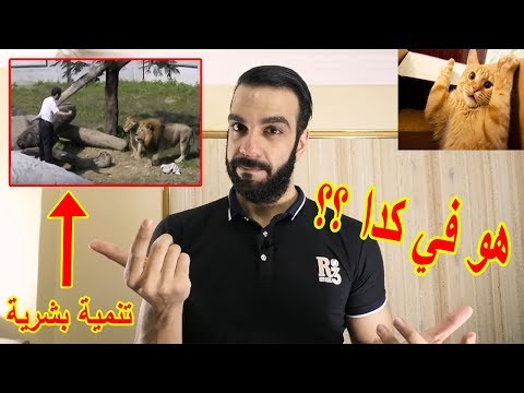 مدرب تنمية بشرية يواجه اسد مع بنات الكورس هبد عالمي
