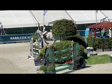 Kryptonite van den Hoek 140 CSI4**** Opglabbeek