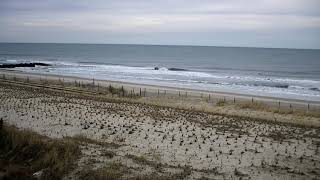 Live Webcam Beach Haven NJ on - 20