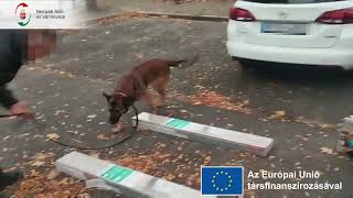 2025 11 04 Bevig A Parkettás