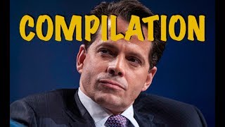 Best of Anthony Scaramucci - Compilation