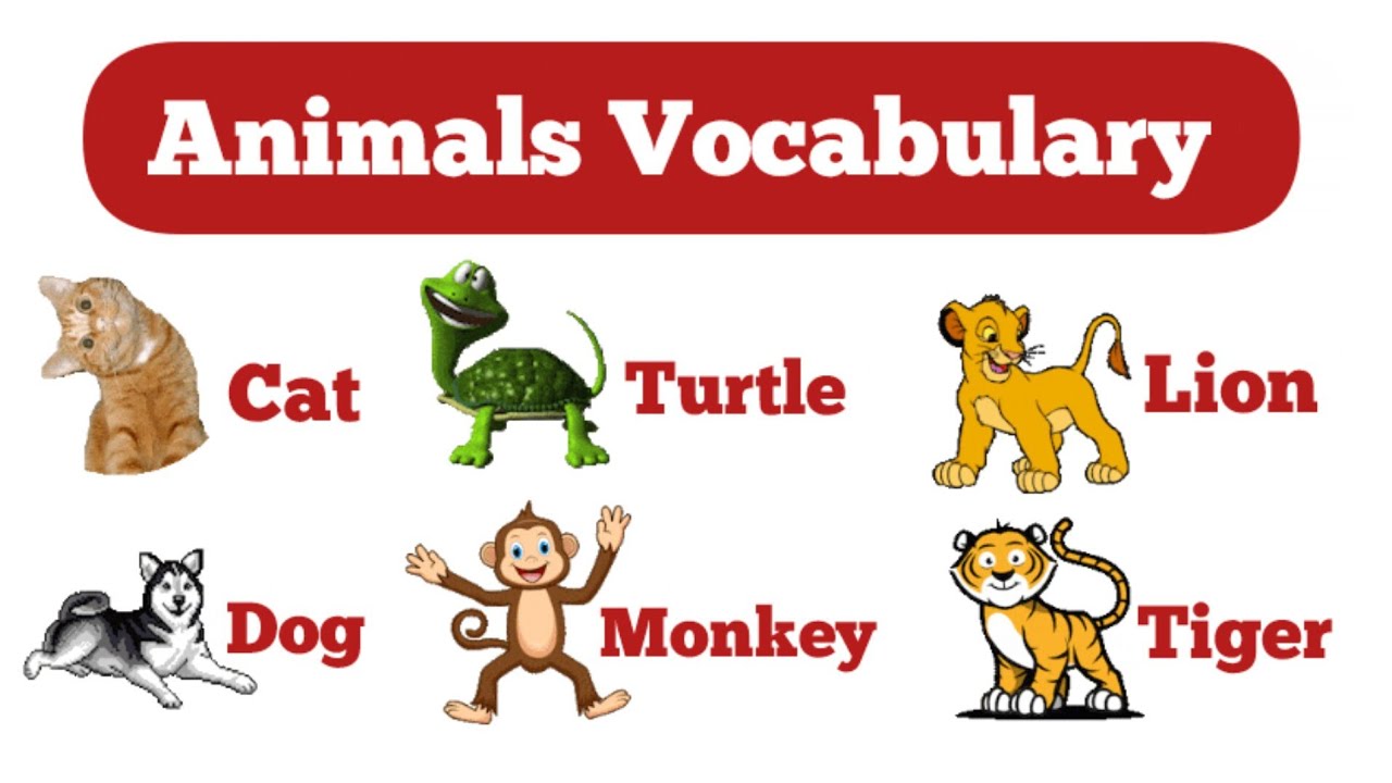 animals-names-in-english-easy-english-examples-youtube