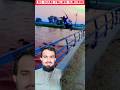 Boy Jumps in Canal to Bathe Buffaloes | Punjab Farming #Canal #Buffalo #Farming #Viral