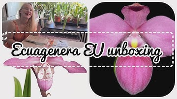 Ecuagenera EU Orchid unboxing video