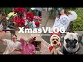 20年友達との日常Vlog🎅