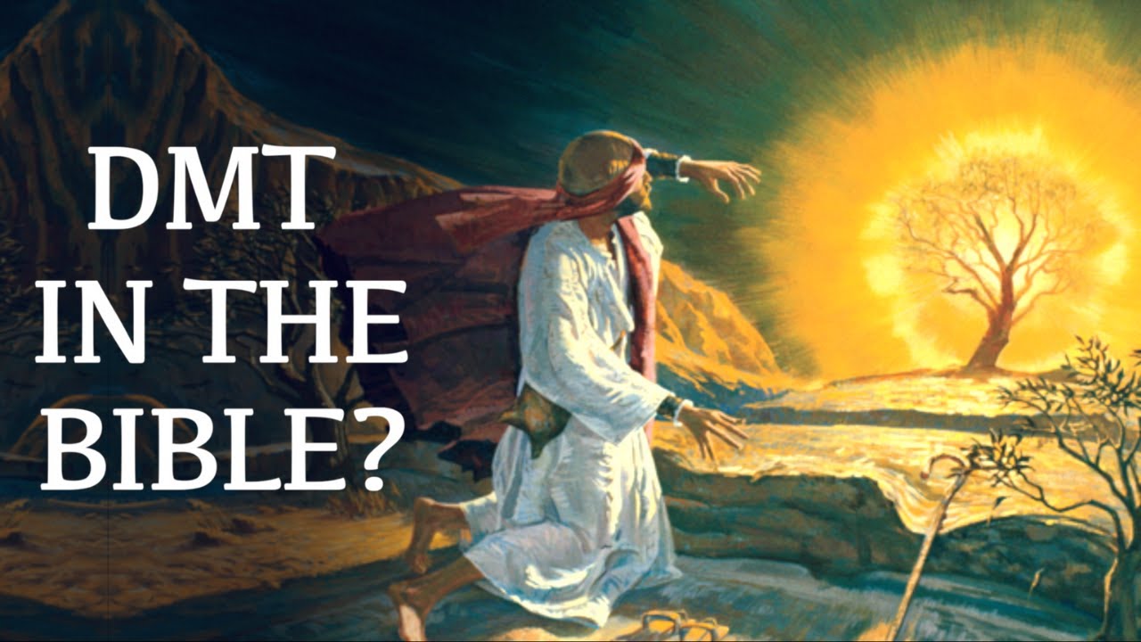 Was Moses Tripping on DMT in the Story of the Burning Bush? YouTube