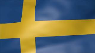 MFP Sweden Flag 3 Hrs Long screenshot 1