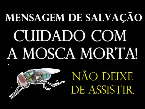 Vídeo: O que o simbolismo da besta em O Senhor das Moscas?