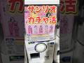 サンリオガチャ活で優勝!? サンリオキャラクターズポムポムプリンぼくのだ〜いすき！たからものネックストラップコレクション&おめんこんがりビーチバージョン2ガチャ！ #sanrio #サンリオ