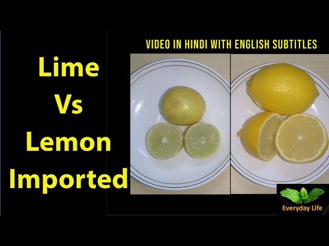 Lime Vs Lemon Imported | नींबू  Vs विदेशी नींबू | Lisbon Vs Eureka Lemon | Key Lime | #172
