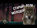 Почему у Александра Лукашенко не будет преемника? Часть 1 🌛 Автостопом по Стране. Вопрос 07 (16+)