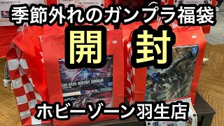 【ガンプラ】季節外れの福袋開けてみた(ホビーゾーン羽生店)