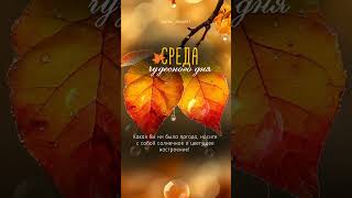 Среда. Доброе утро. #пожеланиядоброгоутра#среда#мотивация#цитаты#осень#nature#осенниевидео#открытки
