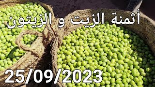 موسم جني الزيتون مكناس اليوم الإثنين 