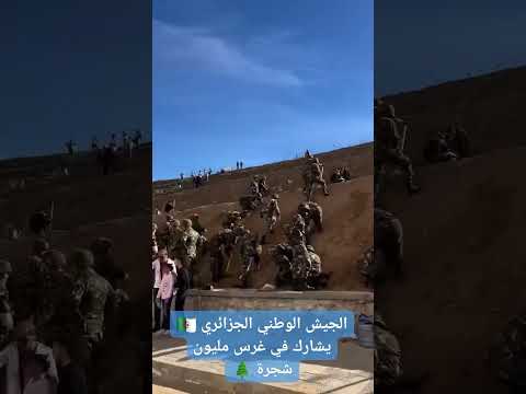 الجيش الجزائري يشارك بقوة في حملة غرس مليون شجرة مبادرة وطنية خضراء