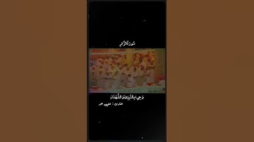 وَأَشْرَقَتِ الْأَرْضُ بِنُورِ رَبِّهَا || سورة الزمر || علي جابر