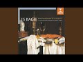 Miniature de la vidéo de la chanson Brandenburgisches Konzert Nr. 5 D-Dur, Bwv 1050: Iii. Allegro