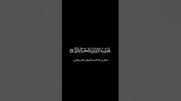 محمد أيوب | أيحسب الانسان أن يترك سدى | كرومات القرآن الكريم