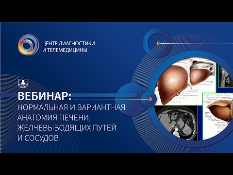 Вебинар: Нормальная и вариантная анатомия печени  желчевыводящих путей и сосудов