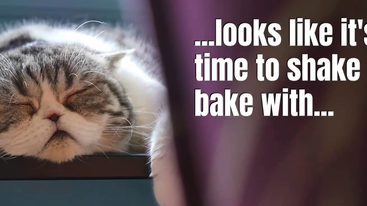 White99 Strain Review