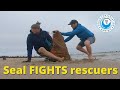 Seal FIGHTS his rescuers