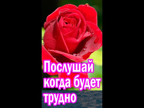 Вера Кушнир. Стихи. Если мы не любим 💖